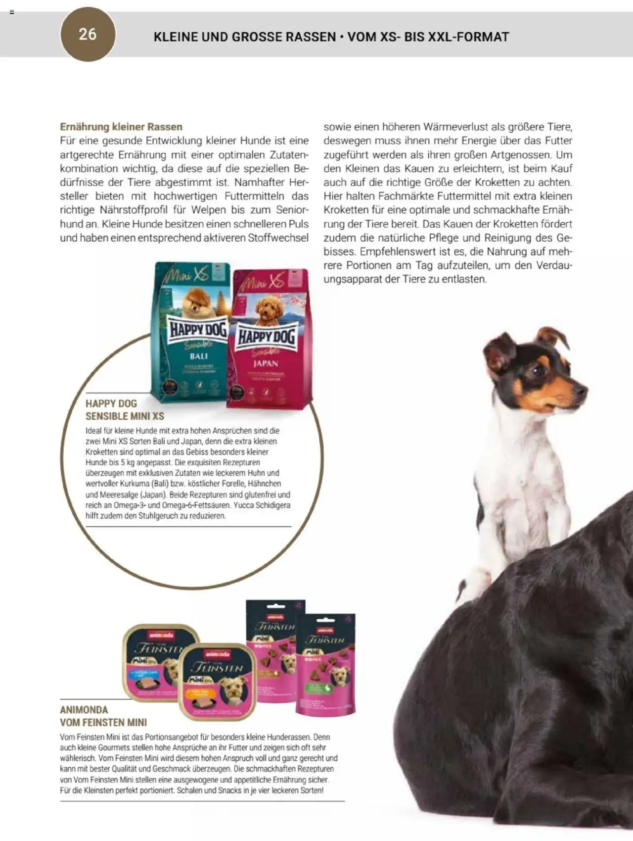 zookauf  Themenkatalog Hund - Seite 26 - gültig ab 20.05.2025