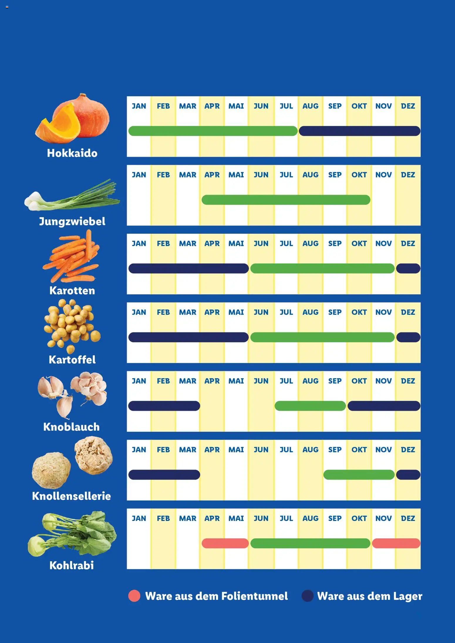 Lidl  Saisonkalender - Obst und Gemüse - page 5- valid from 01.01.2026