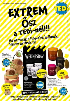 Előnézet TEDi Akciós újság érvényes 2025.10.10.-tól
