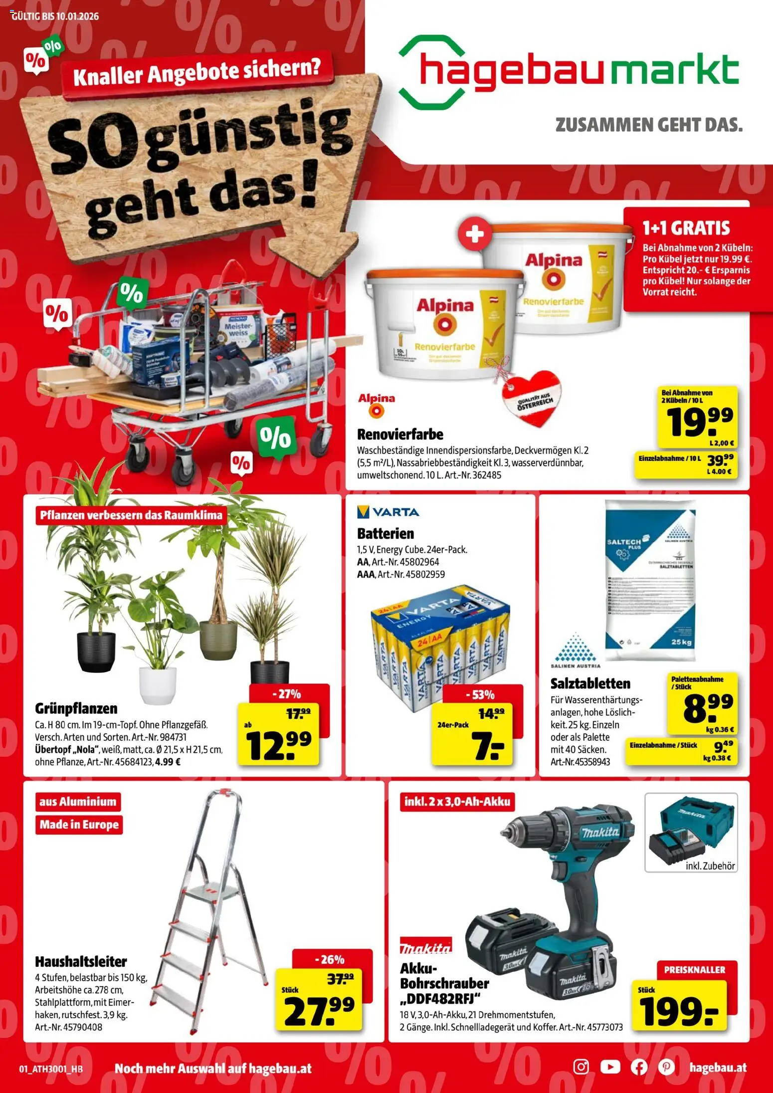 Hagebau Flugblatt - Seite 1- gültig ab 29.12.2025