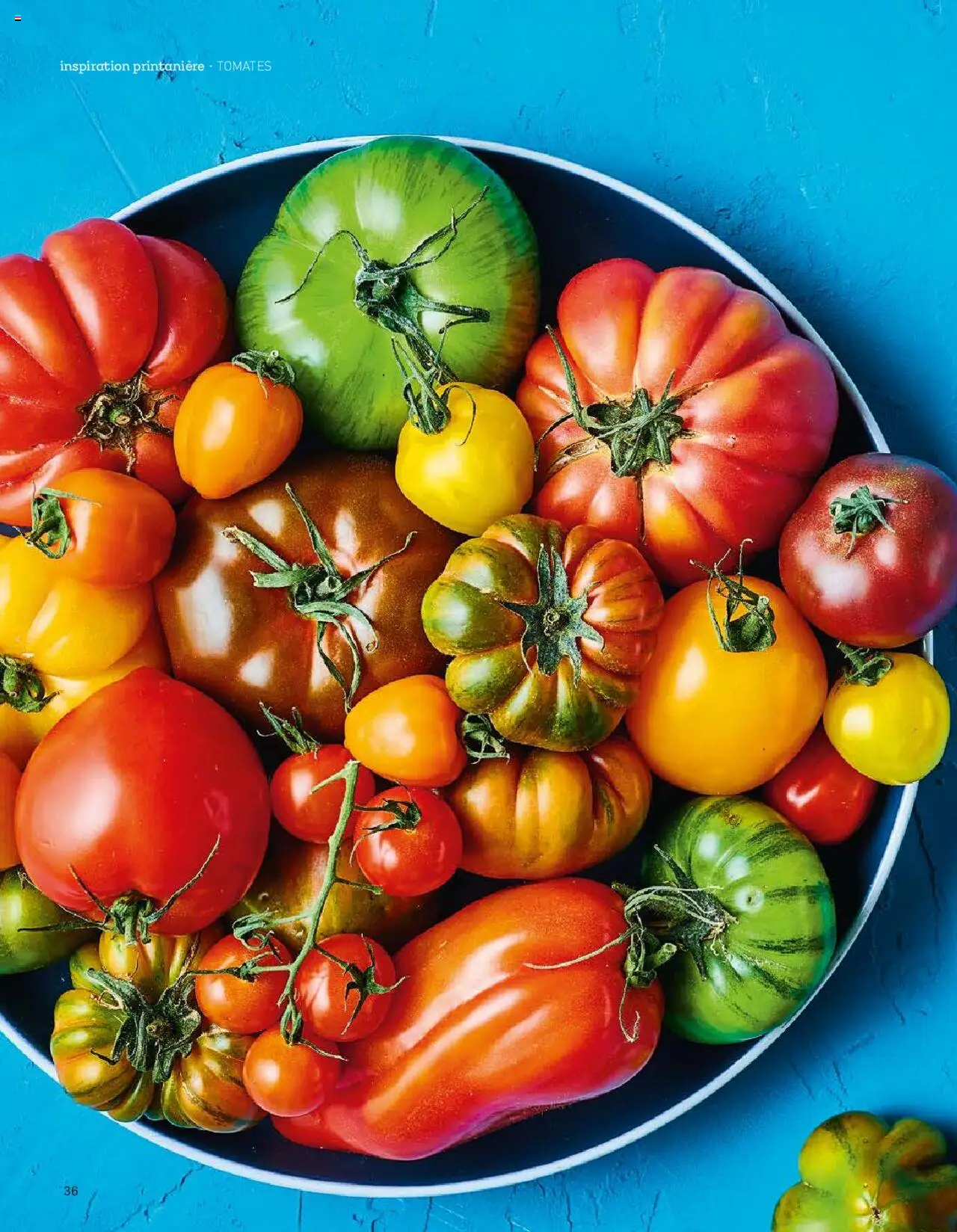 Aldi Aktuelle Fruhlings - Inspiration FR - Seite 36- gültig ab 07.04.2025