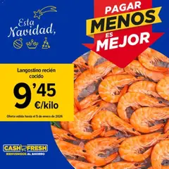 Vista previa del folleto Cash Fresh folleto válido desde 23/12/2025