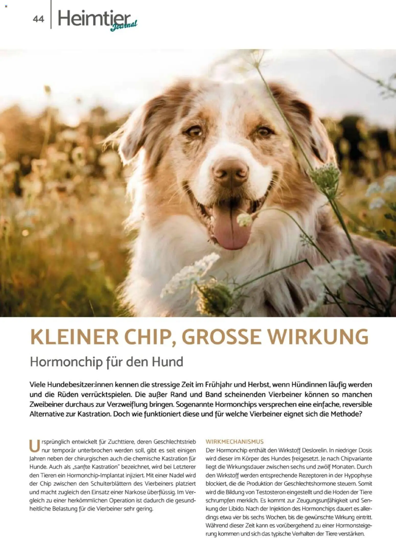 zookauf - Heimtier Journal - Seite 44 - gültig ab 01.12.2025