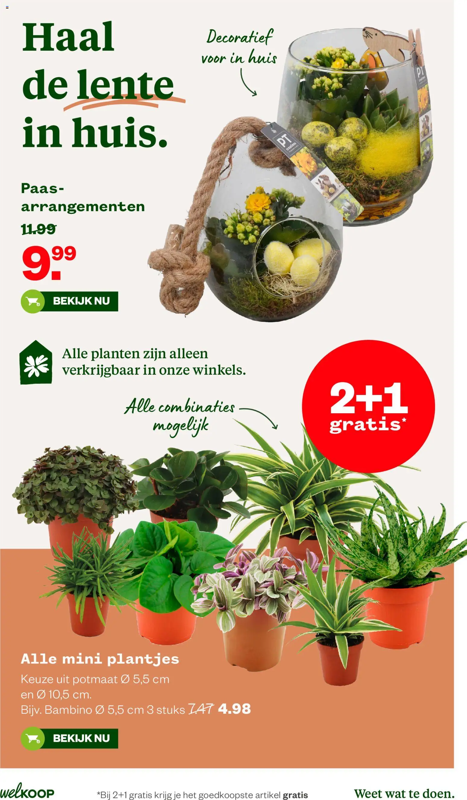 Welkoop folder - page 9- valid from 30-03-2026