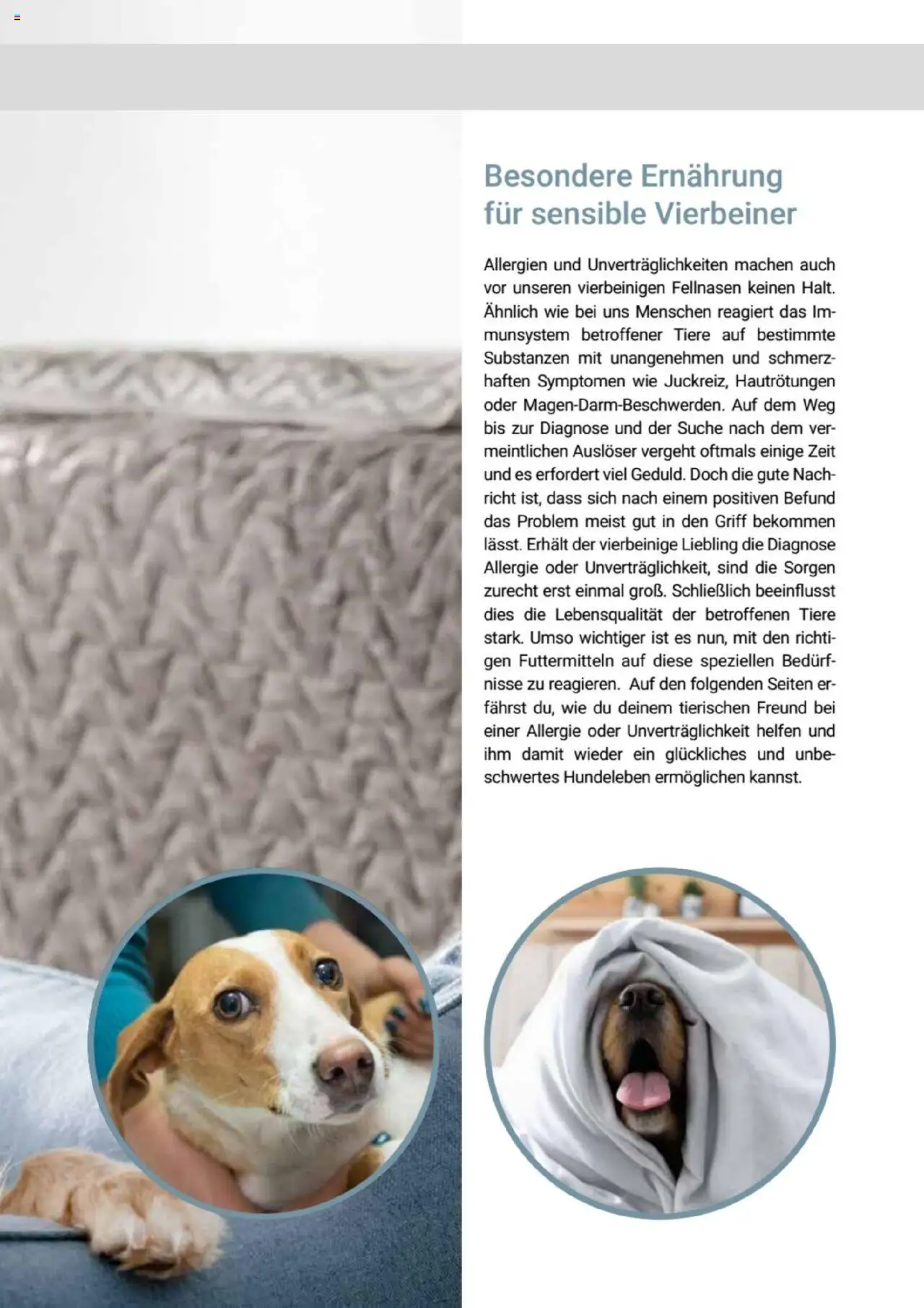 zookauf  Themenkatalog Hund - Seite 29 - gültig ab 20.05.2025
