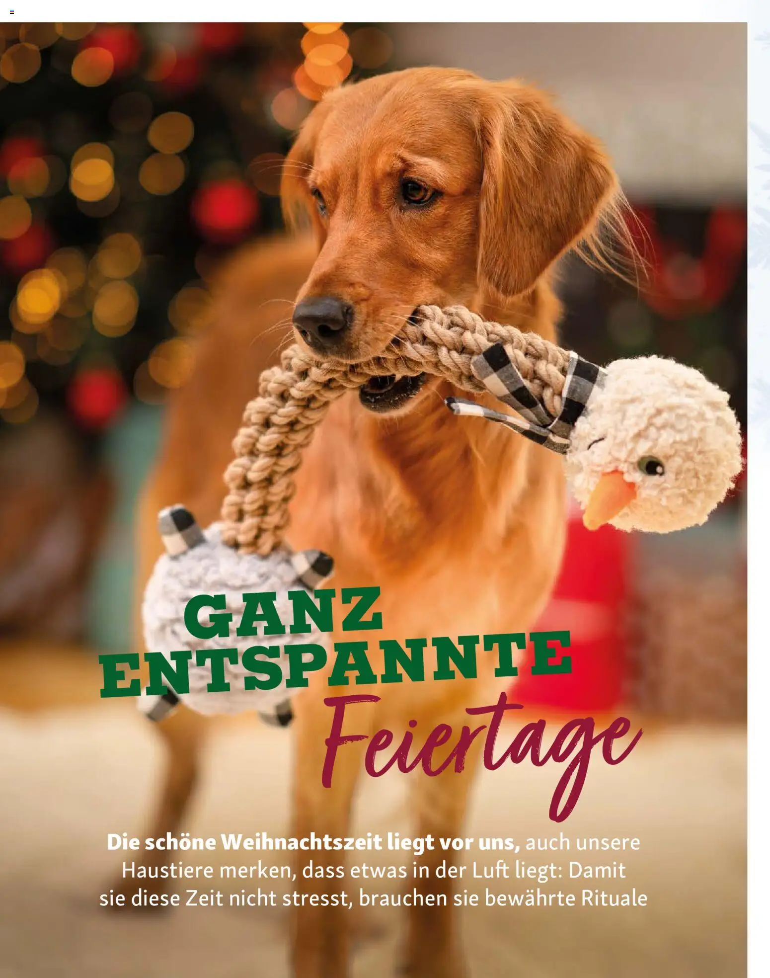Fressnapf Friends Magazin - Seite 16 - gültig ab 01.11.2025