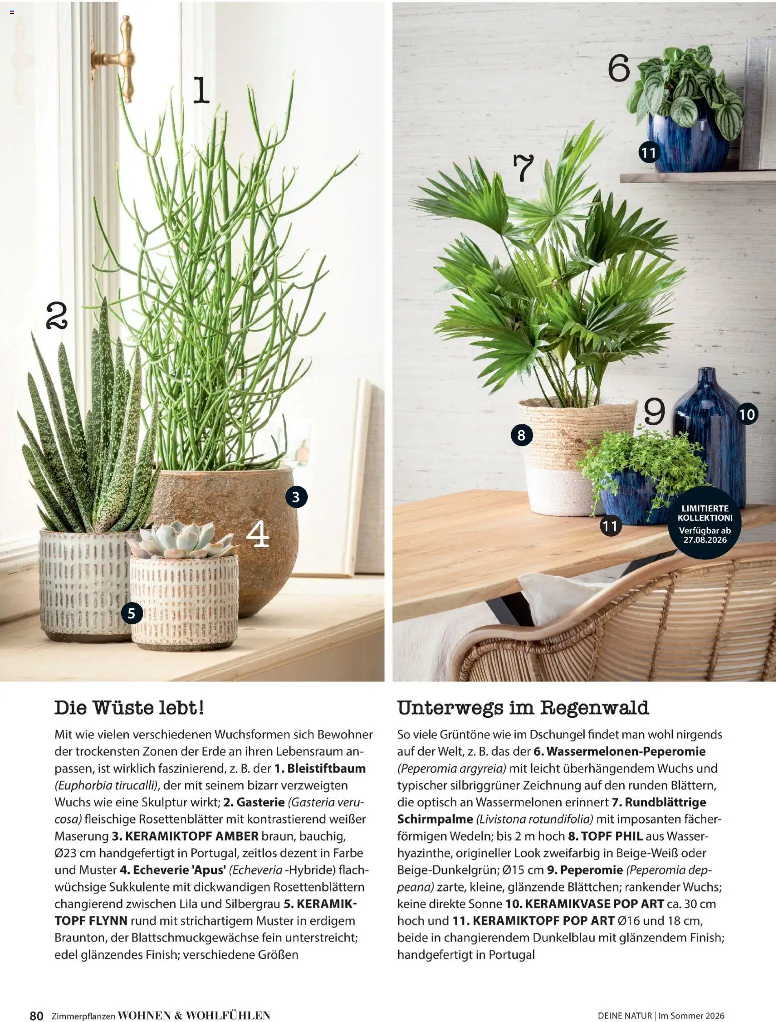 Dehner Prospekt 	 - Seite 80 - gültig ab 17.04.2026