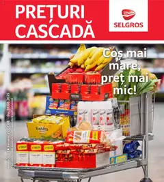 Catalog Selgros - Prețuri Cascadă valabil de la 01.08.2025