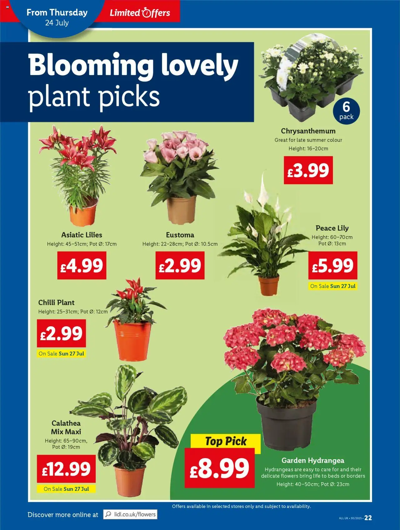 Lidl - Lidl Weekly - page 22- valid from 24/07/2025