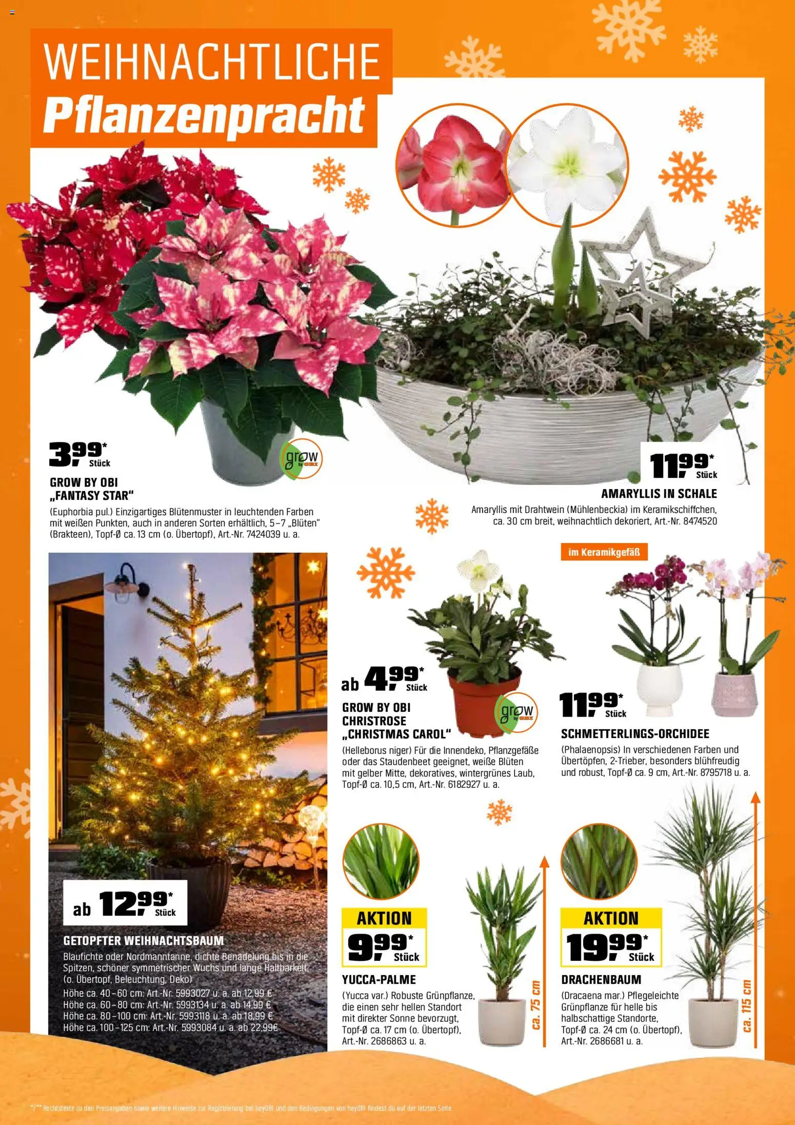 Obi Prospekt 	 - Seite 8 - gültig ab 01.12.2025