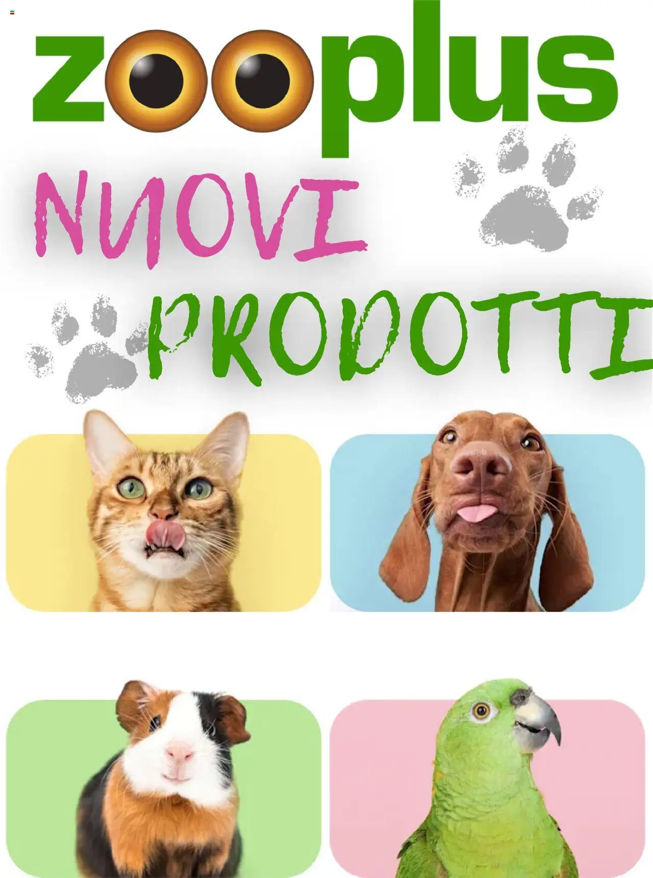Volantino Zooplus	 - pagina 1 - valido dal 12/07/2025