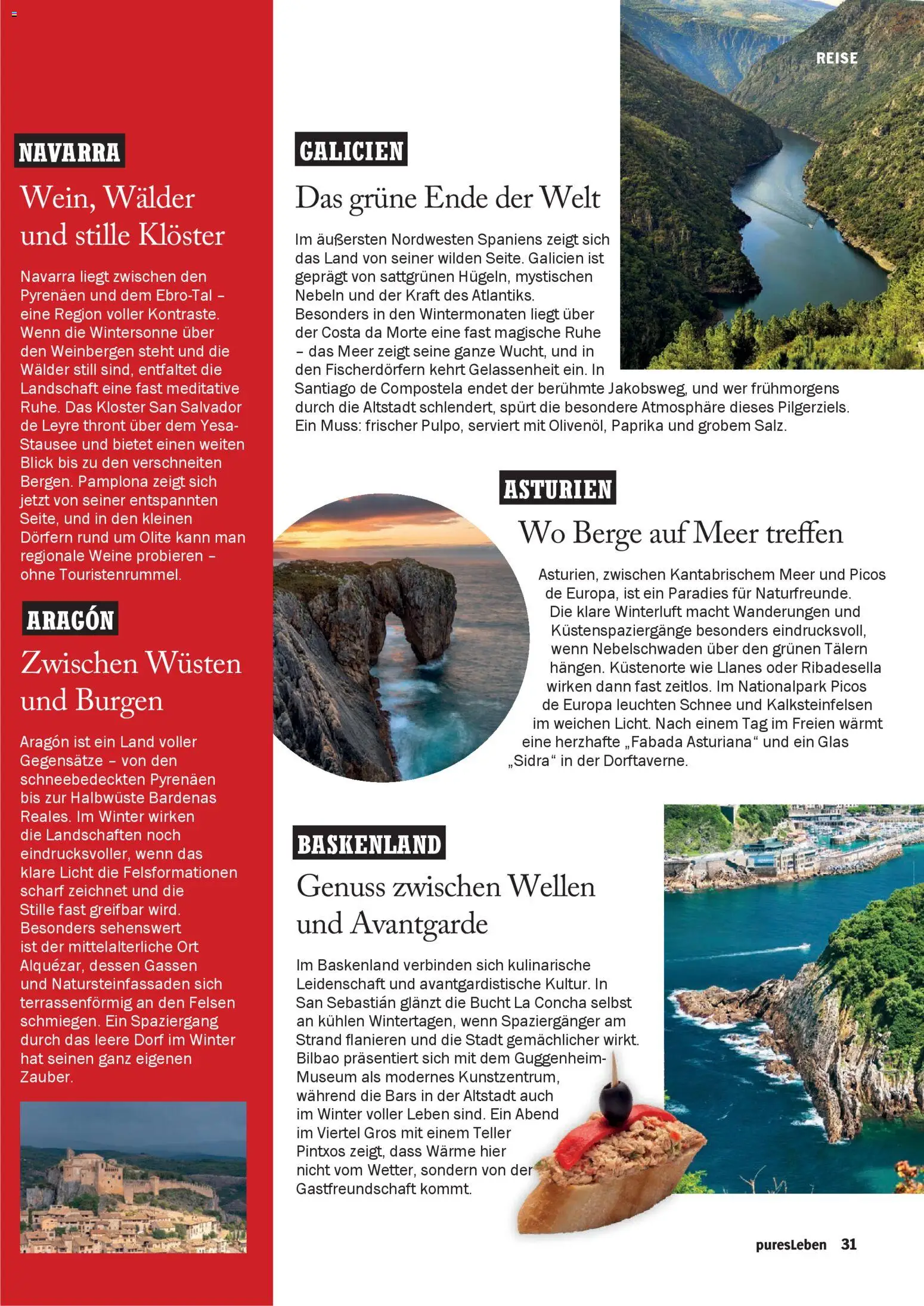 HIT pures Leben 01/2026 - Seite 31 - gültig ab 01.01.2026