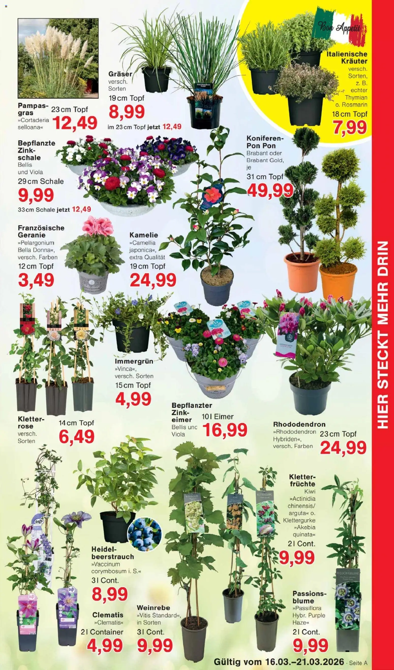 Jawoll Prospekt 	 - Seite 7 - gültig ab 16.03.2026