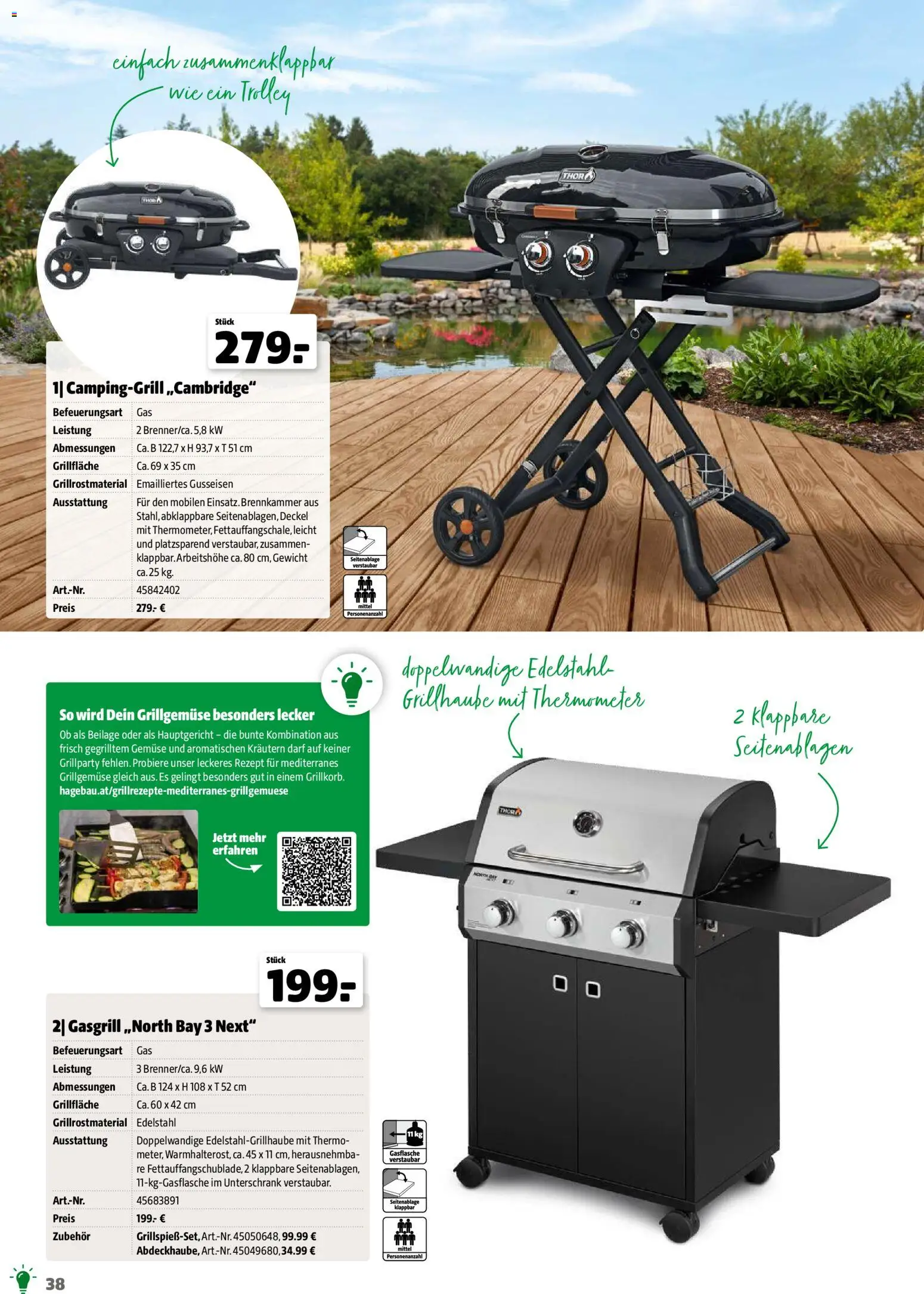 Hagebau Gartenjahr - page 38- valid from 13.03.2026