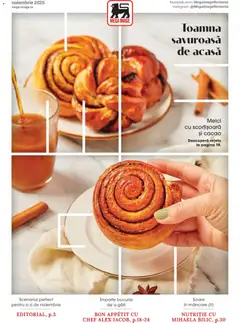 Mega Image catalog - Noiembrie valabil de la 30.10.2025