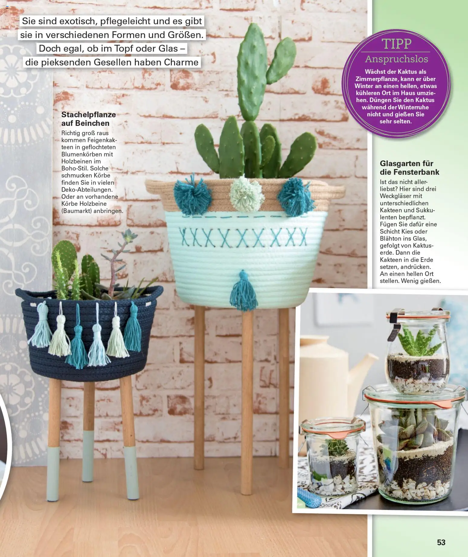 Poco Wohnwelt Winter 2025 - Seite 53 - gültig ab 01.12.2025