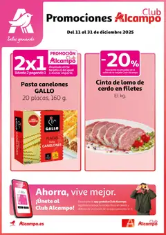 Vista previa del folleto Alcampo - Club Nacional  válido desde 11/12/2025