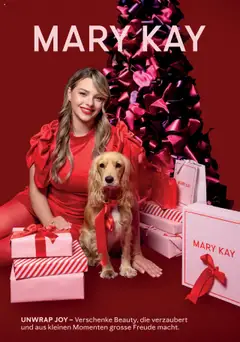Vorschau Mary Kay Aktionen Weihnachten gültig ab 02.10.2025