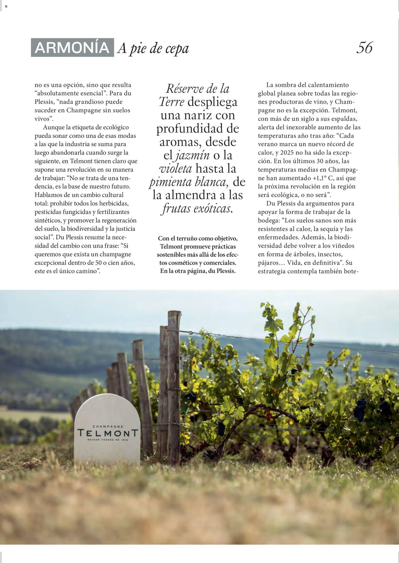 El Corte Inglés ofertas - Página de 56 - Válido desde 11/12/2025