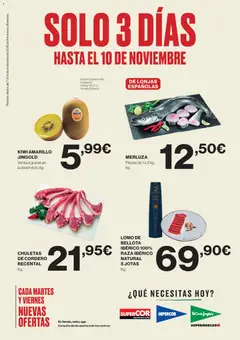 Vista previa del folleto El Corte Inglés ofertas válido desde 07/11/2025