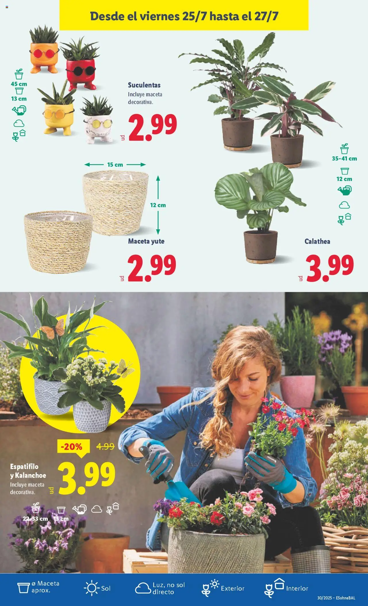 Lidl folleto - Página de 33 - Válido desde 21/07/2025