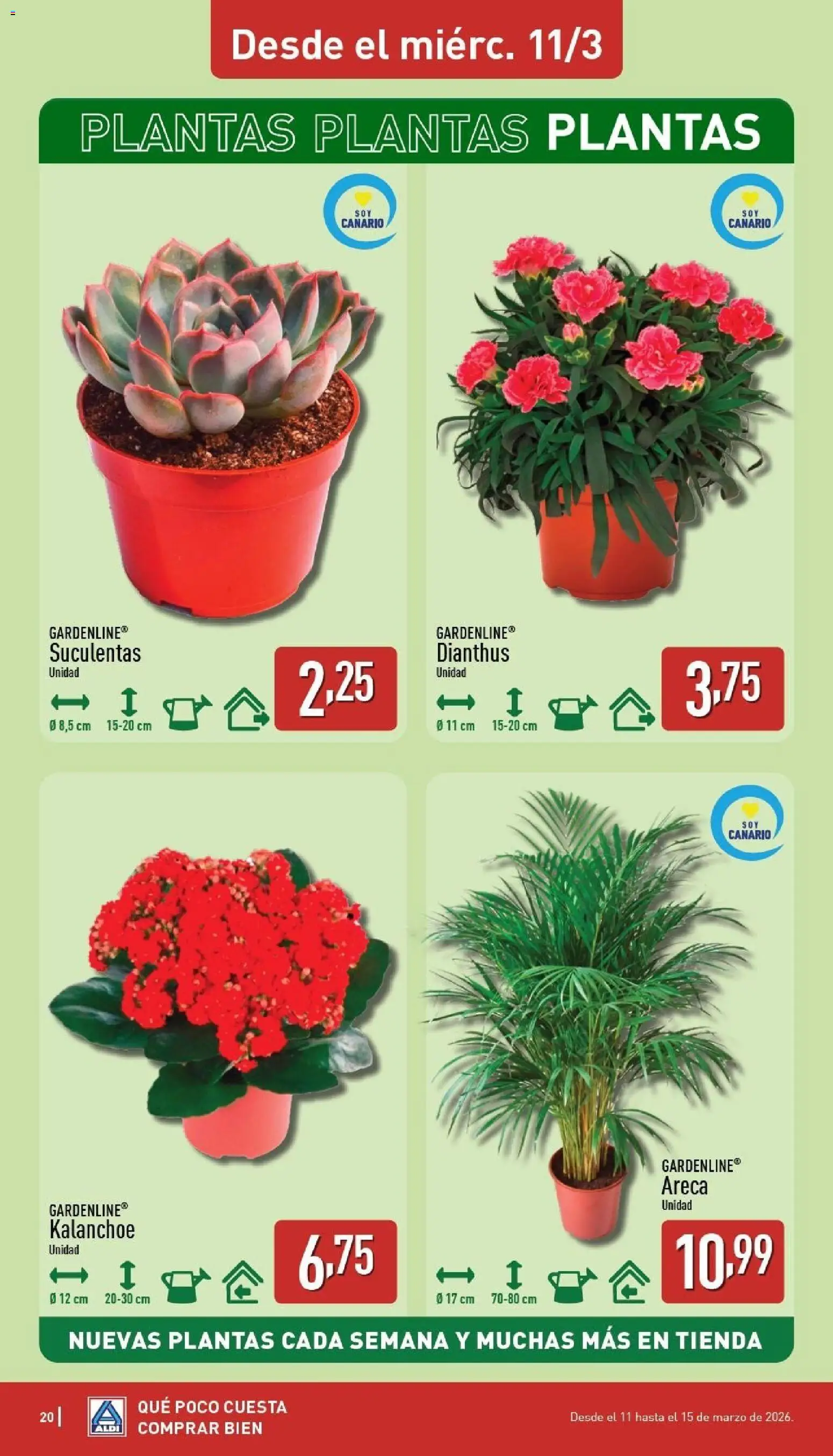 Aldi folleto Canarias - Página de 20 - Válido desde 09/03/2026