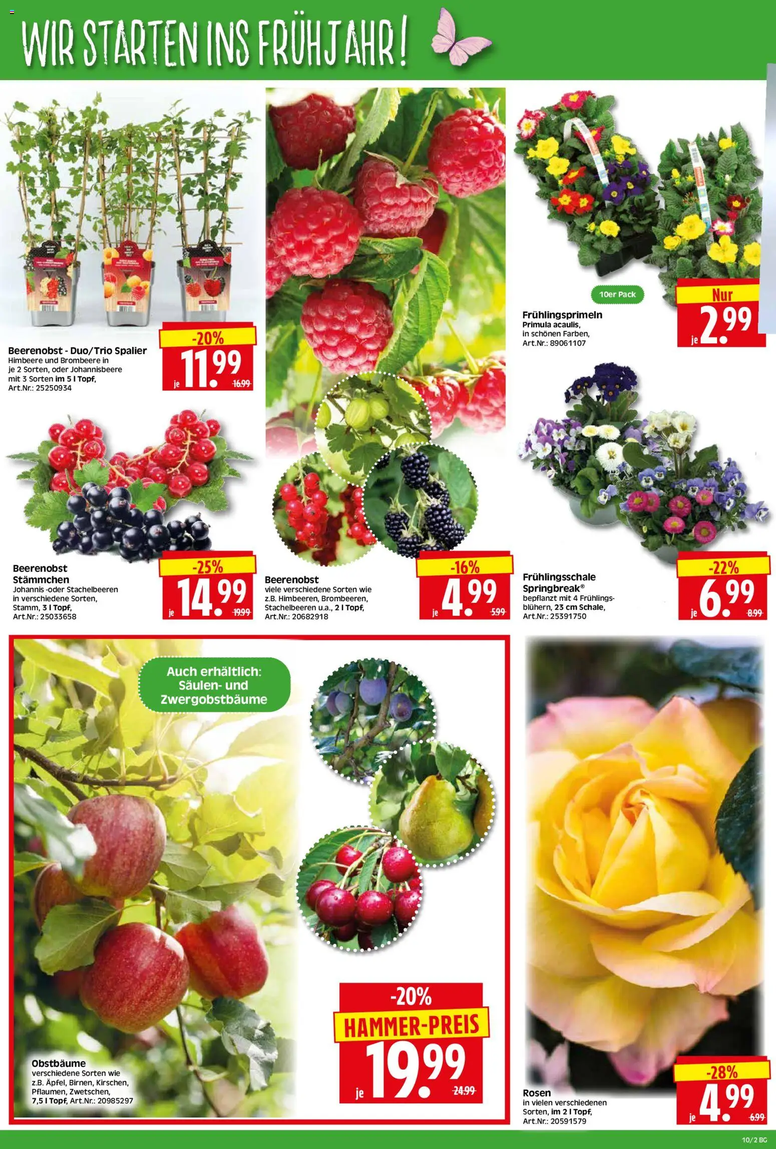 HERKULES Bau & Garten - Seite 2 - gültig ab 02.03.2026