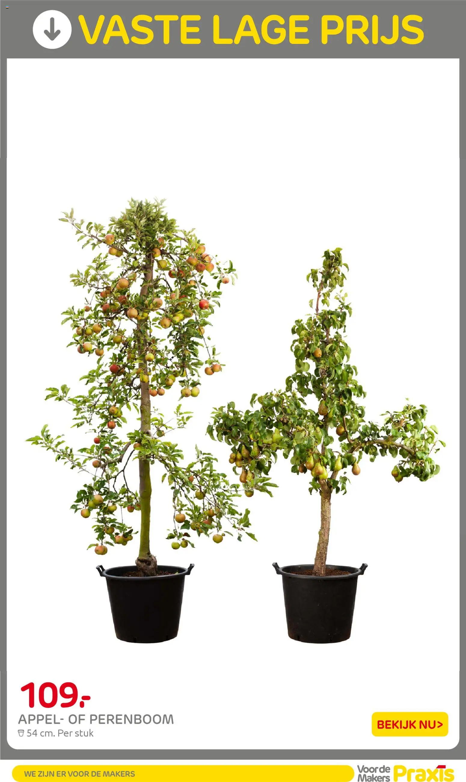 Praxis folder - page 30- valid from 30-03-2026