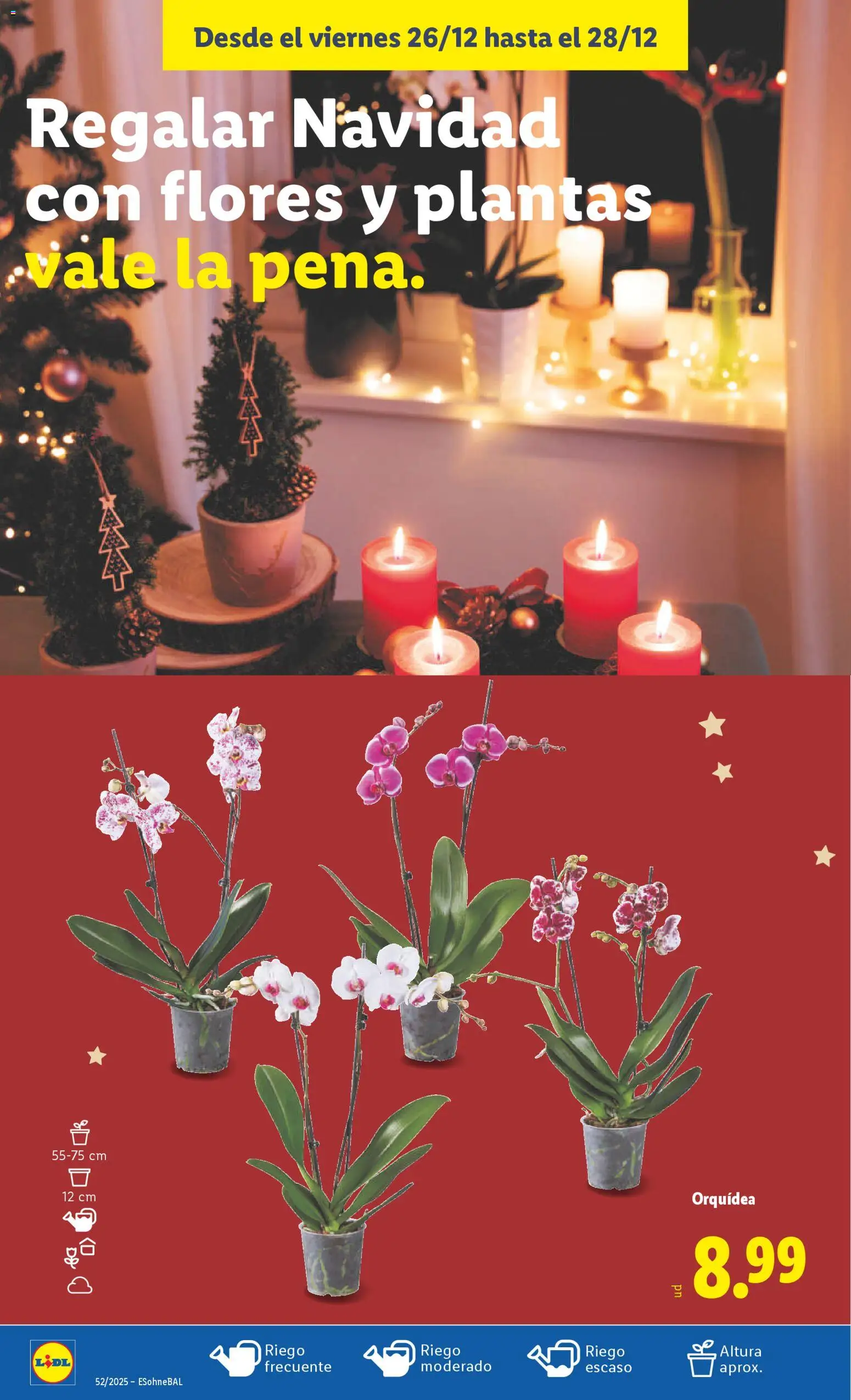 Lidl folleto - Página de 52 - Válido desde 22/12/2025