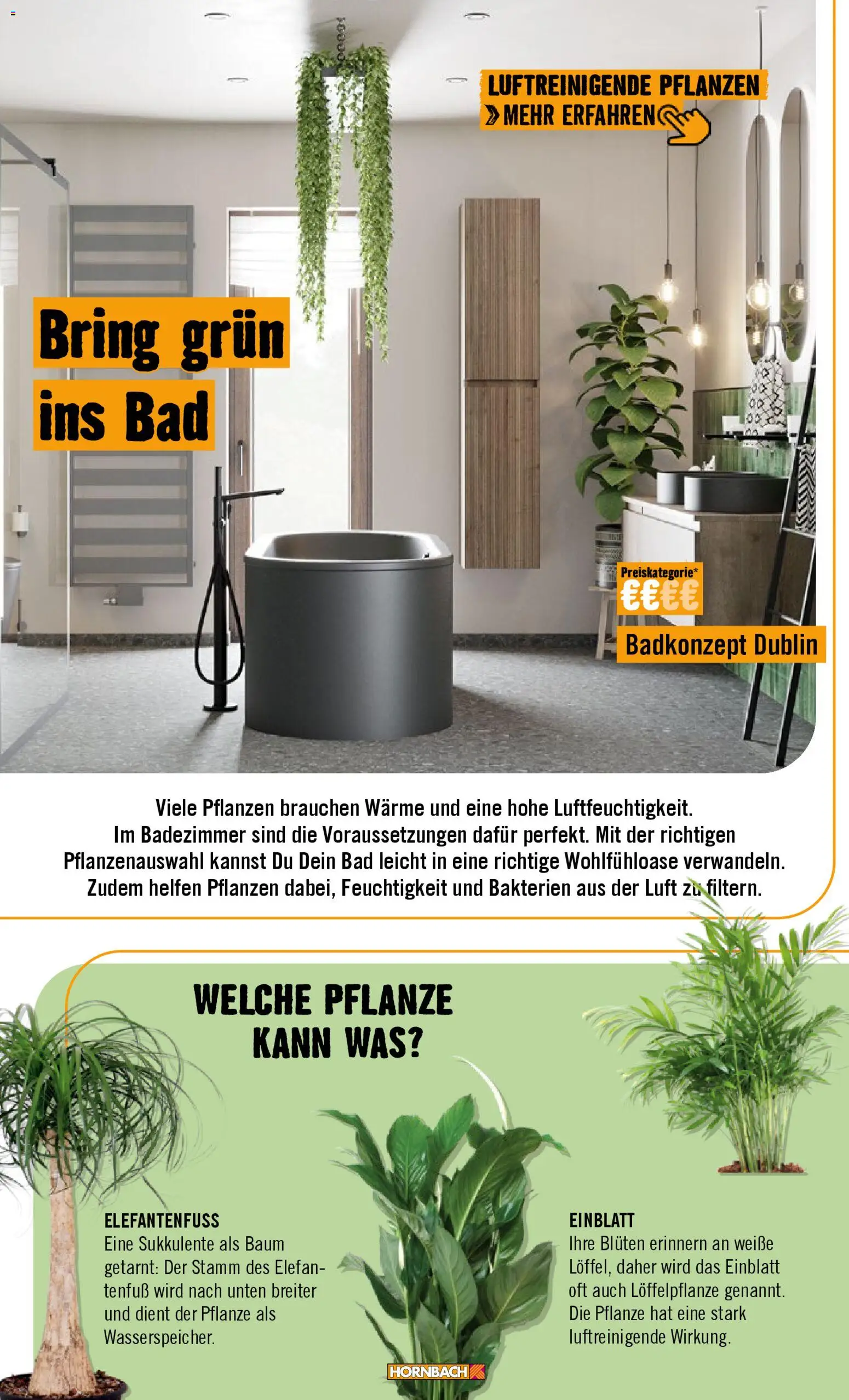 Hornbach Prospekt 	 - Seite 66 - gültig ab 02.02.2026