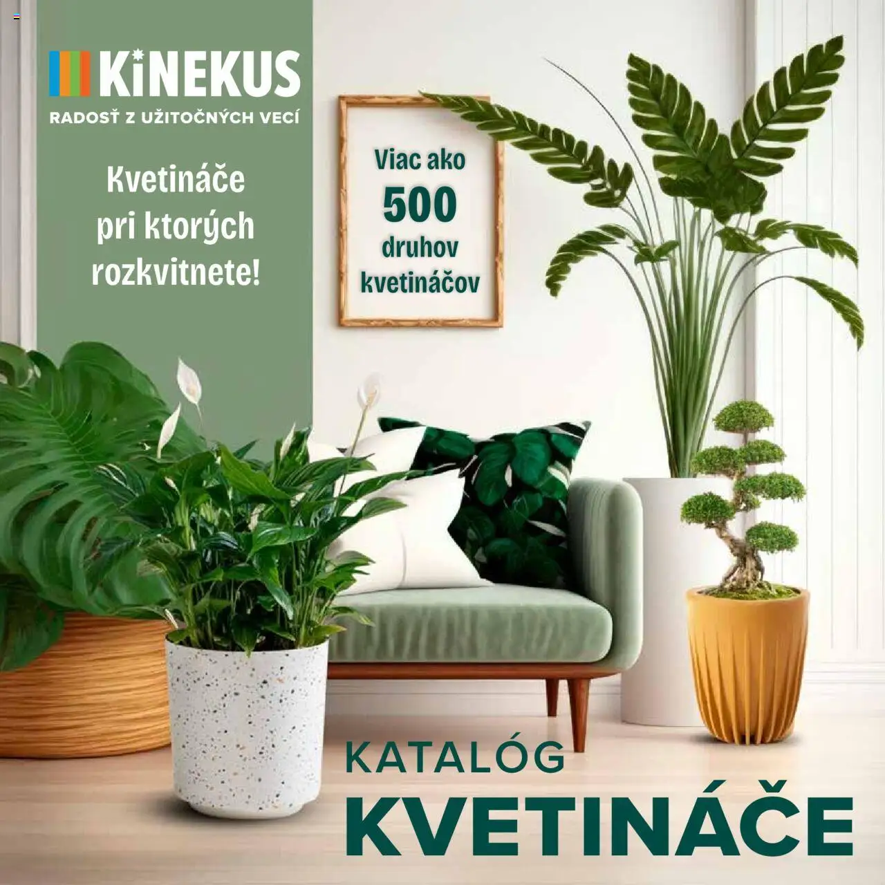 Kinekus katalóg kvetináče - strana 1- platný od 07.02.2025