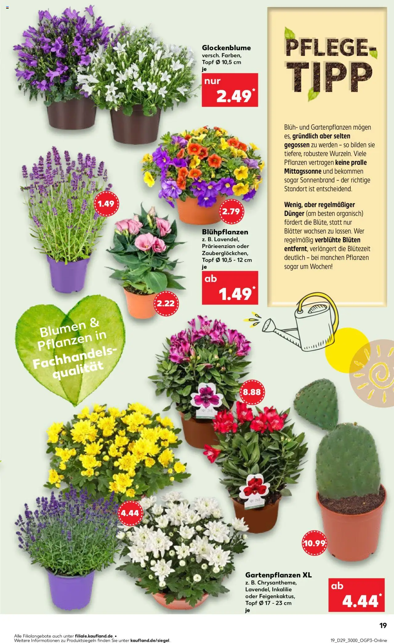 Kaufland DE - DE Folder - pagina 19- geldig vanaf 17-07-2025