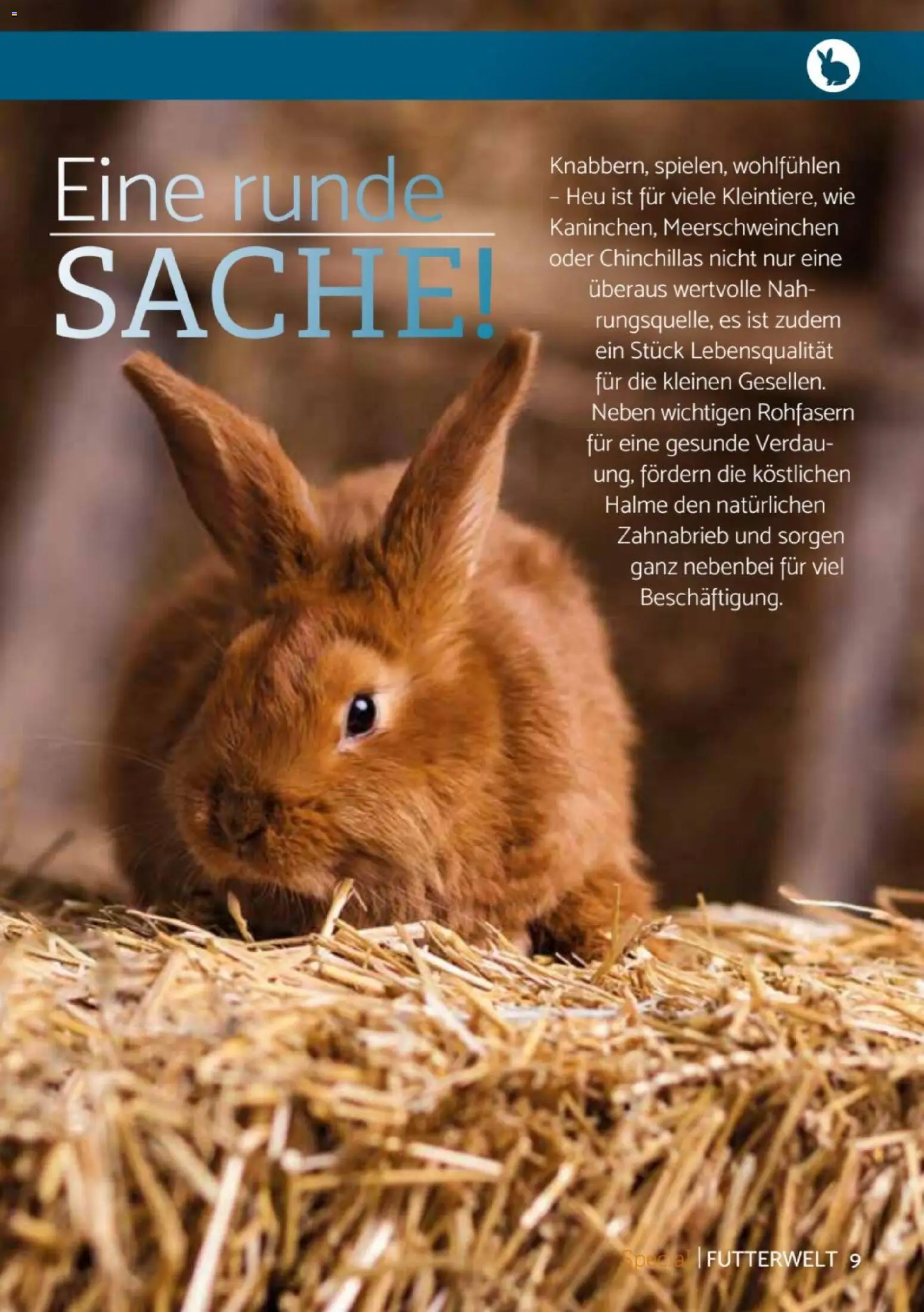 zookauf  Heimtier Journal Special - Seite 9 - gültig ab 01.12.2025