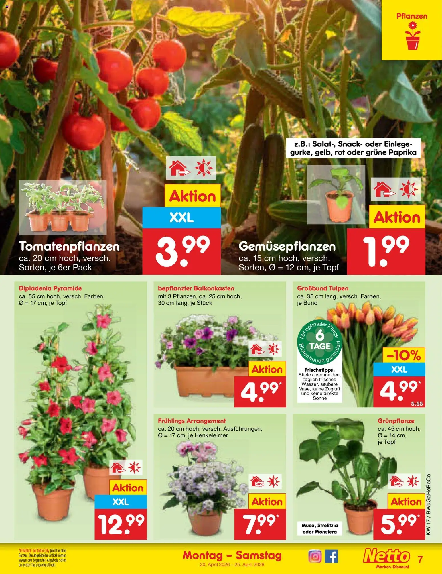 Netto Marken-Discount Prospekt 	 - Seite 9 - gültig ab 20.04.2026