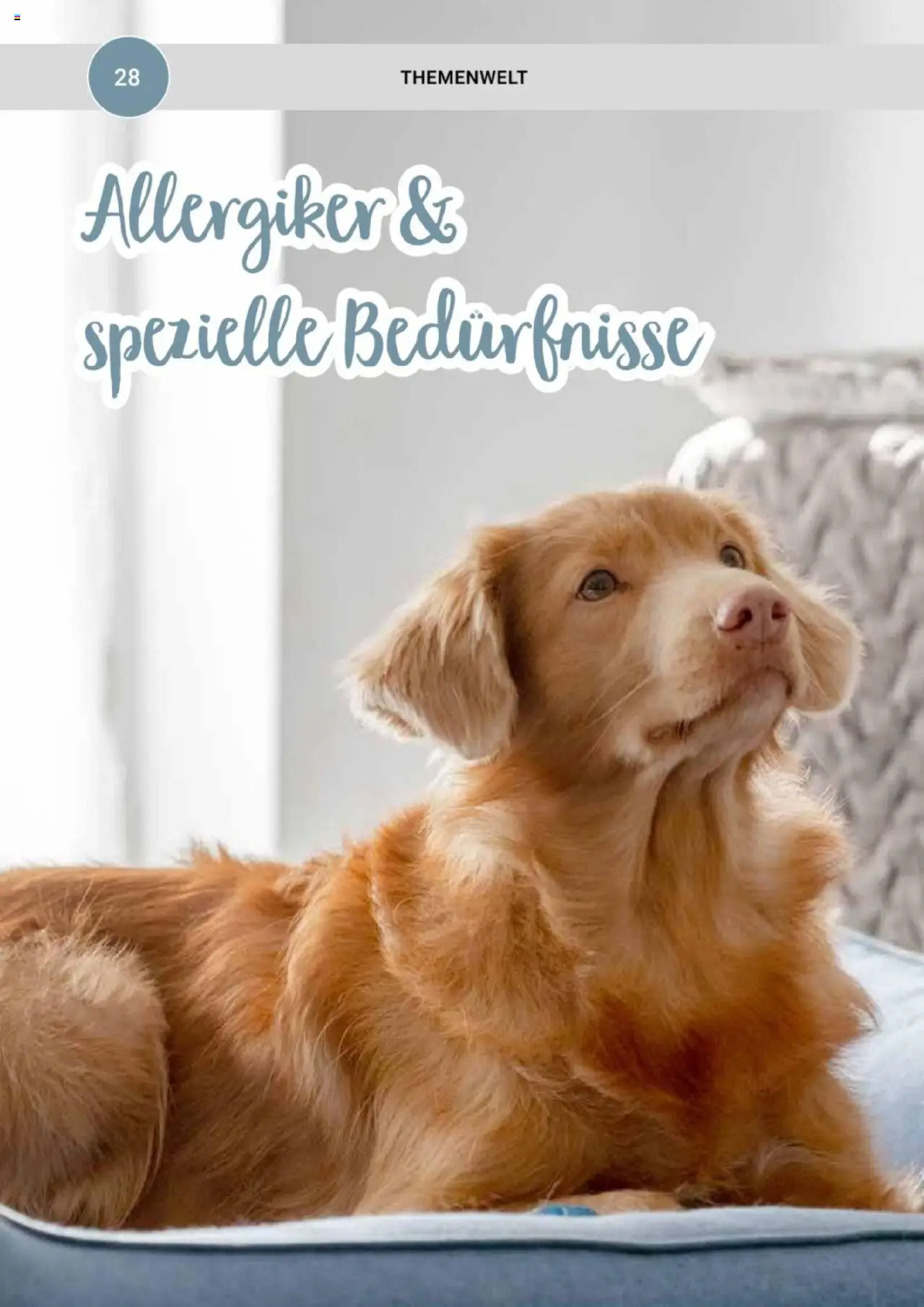 zookauf  Themenkatalog Hund - Seite 28 - gültig ab 20.05.2025