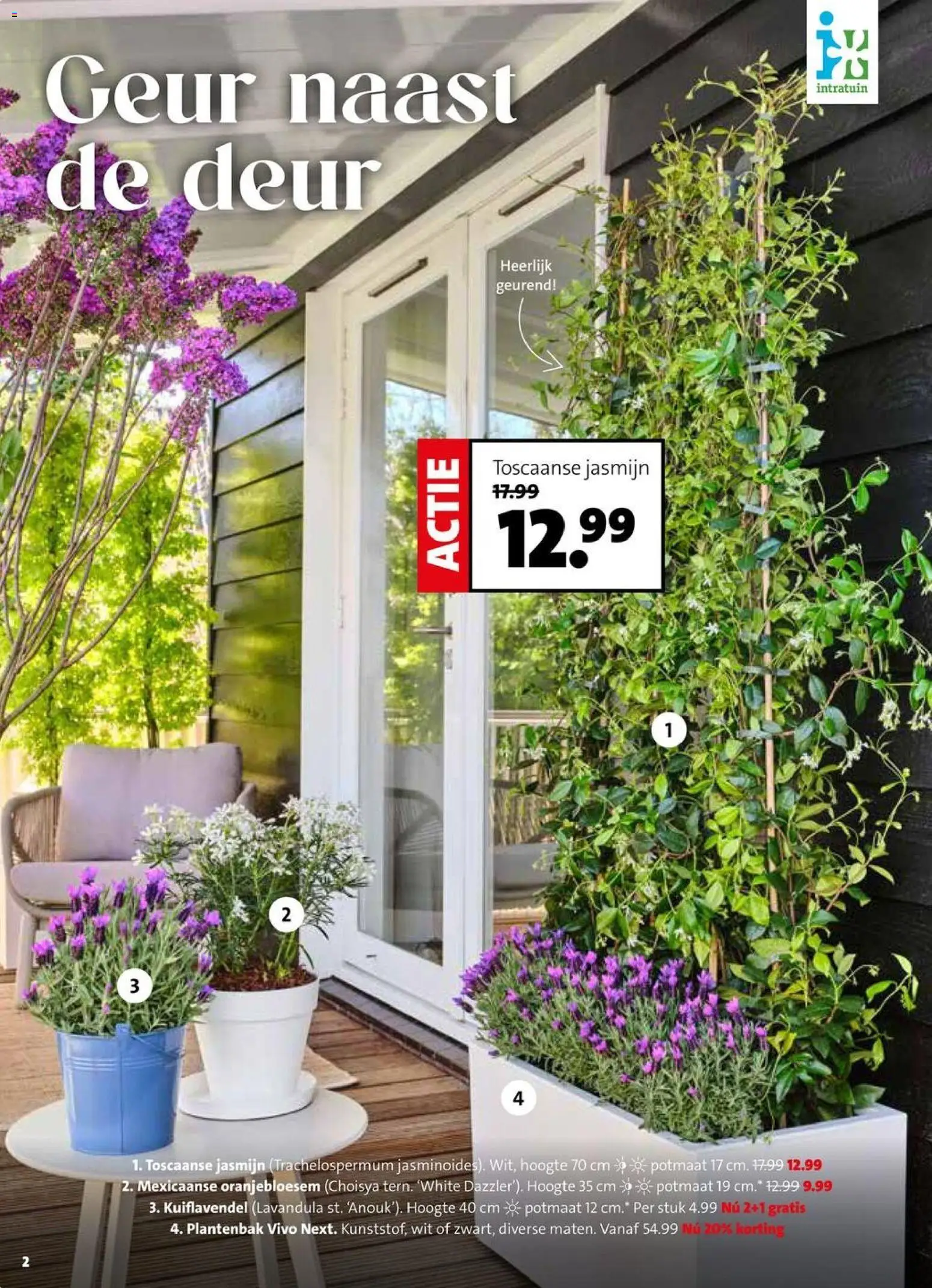 Intratuin folder - page 2- valid from 30-03-2026