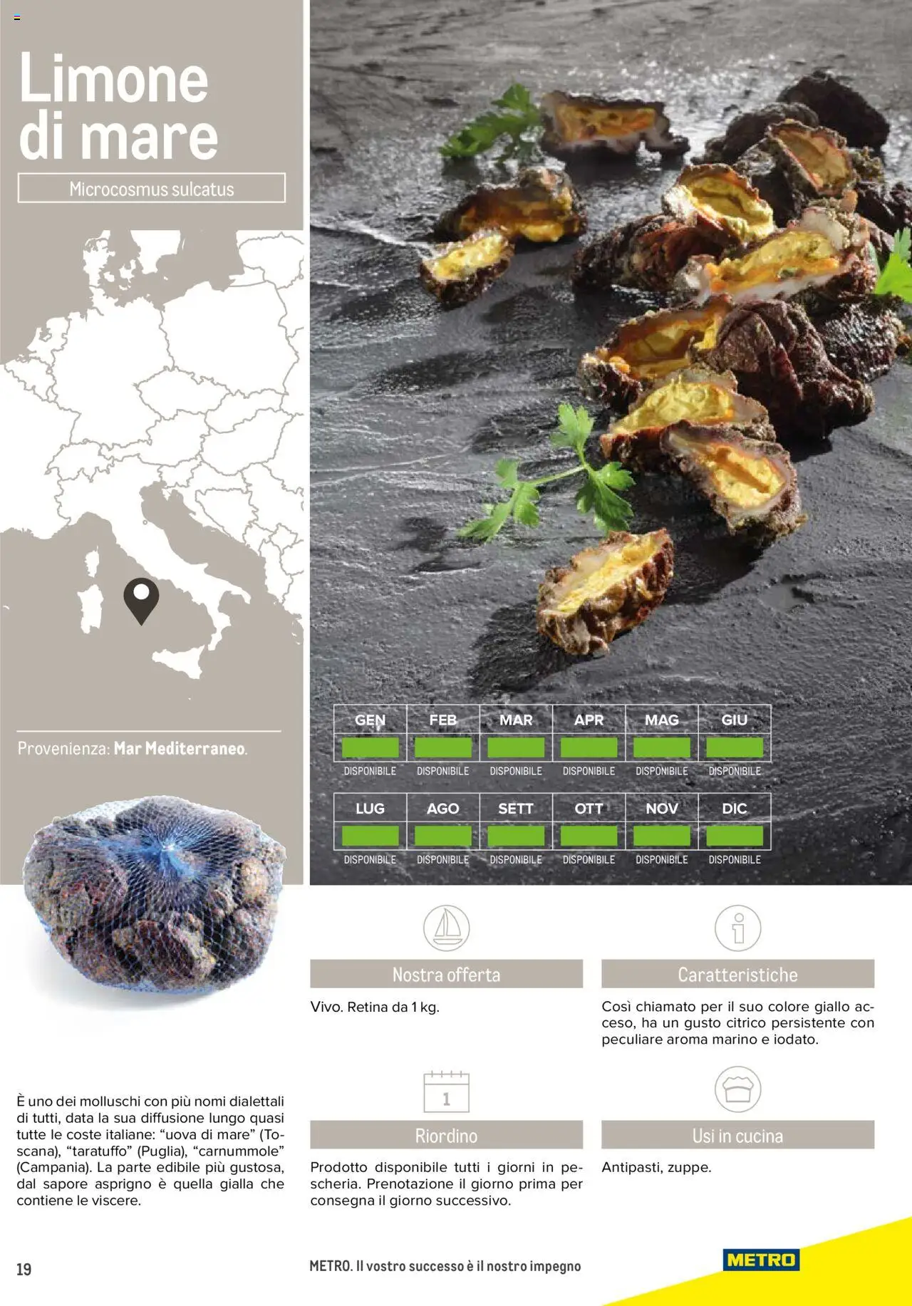 Catalogo Frutti di mare Metro	 - pagina 19 - valido dal 11/07/2024
