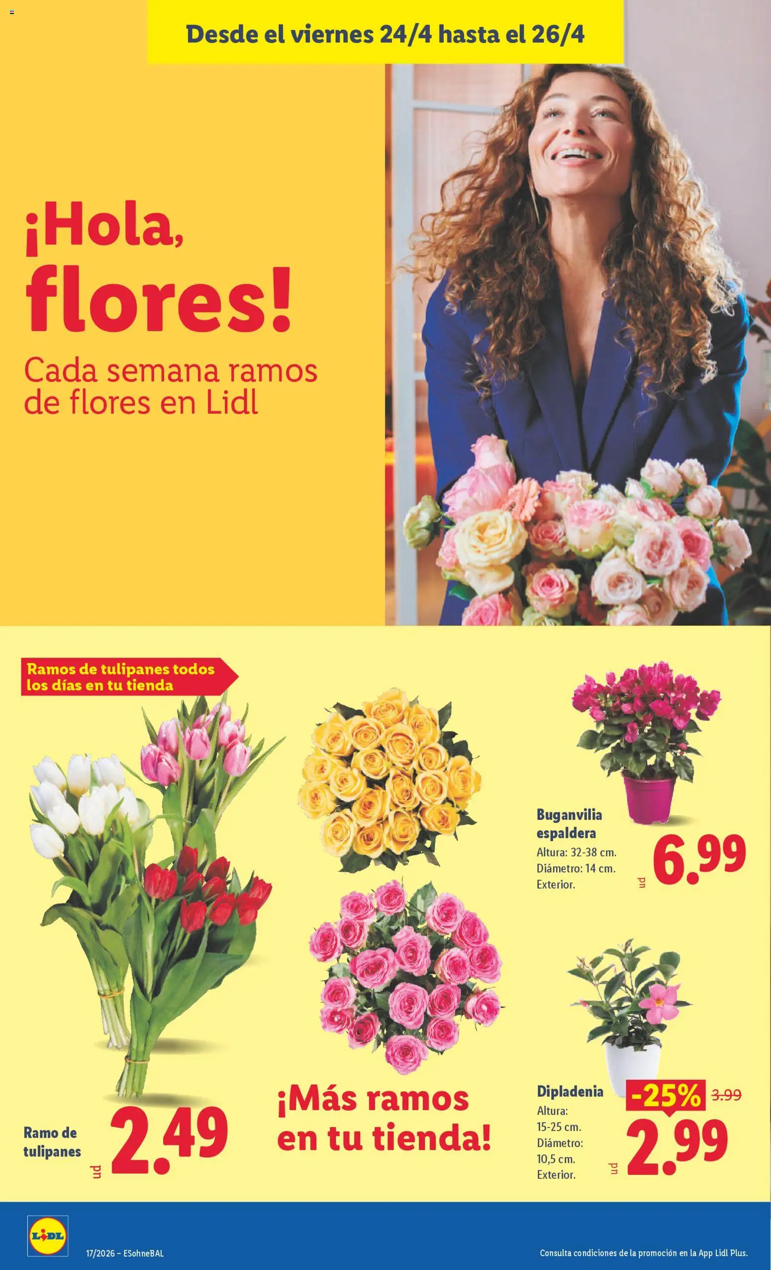 Lidl folleto - Página de 46 - Válido desde 20/04/2026