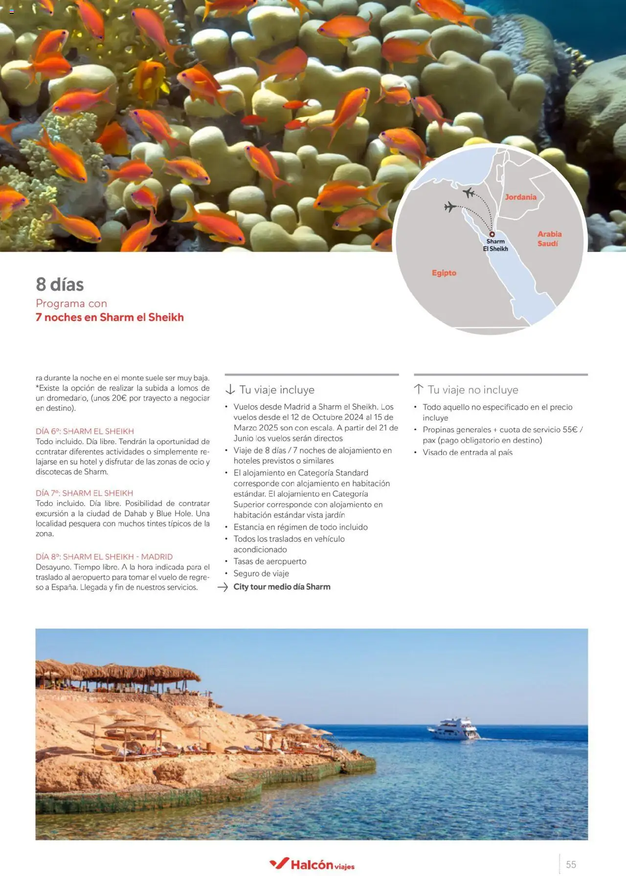 Halcón Viajes Egipto - Página de 55 - Válido desde 01/07/2025