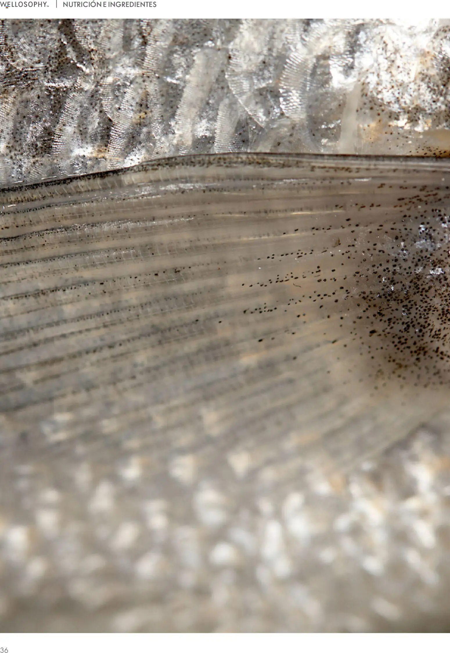 Oriflame - Guía Wellosophy - Página de 36 - Válido desde 01/11/2023