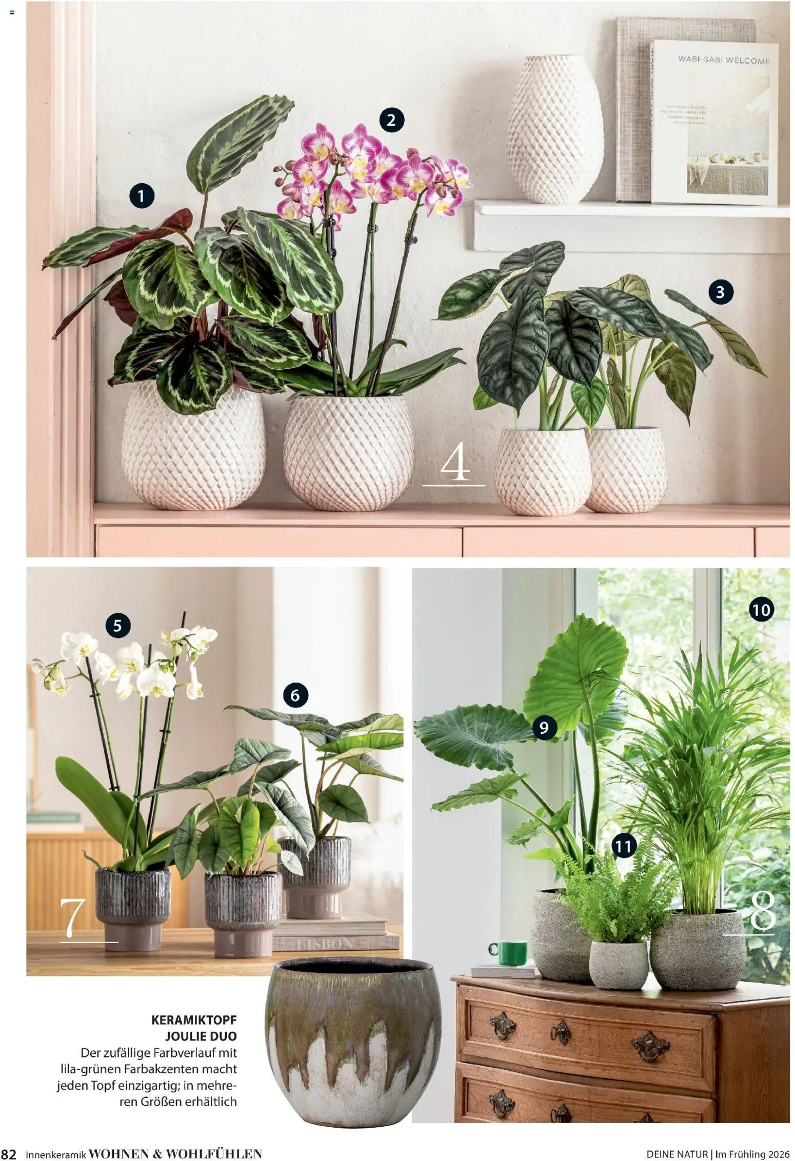 Dehner Flugblatt - page 82- valid from 05.03.2026