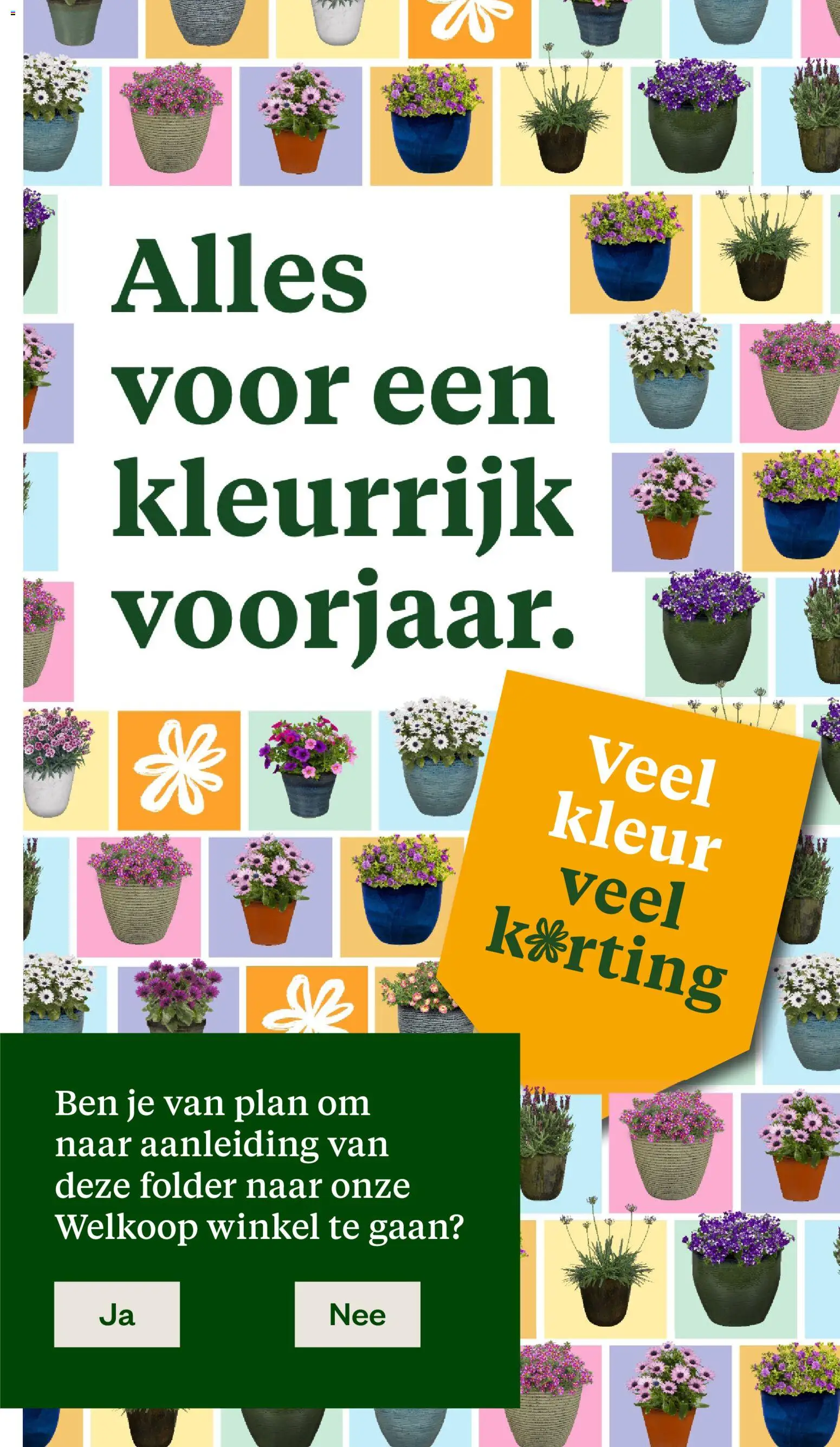 Welkoop folder - page 38- valid from 30-03-2026