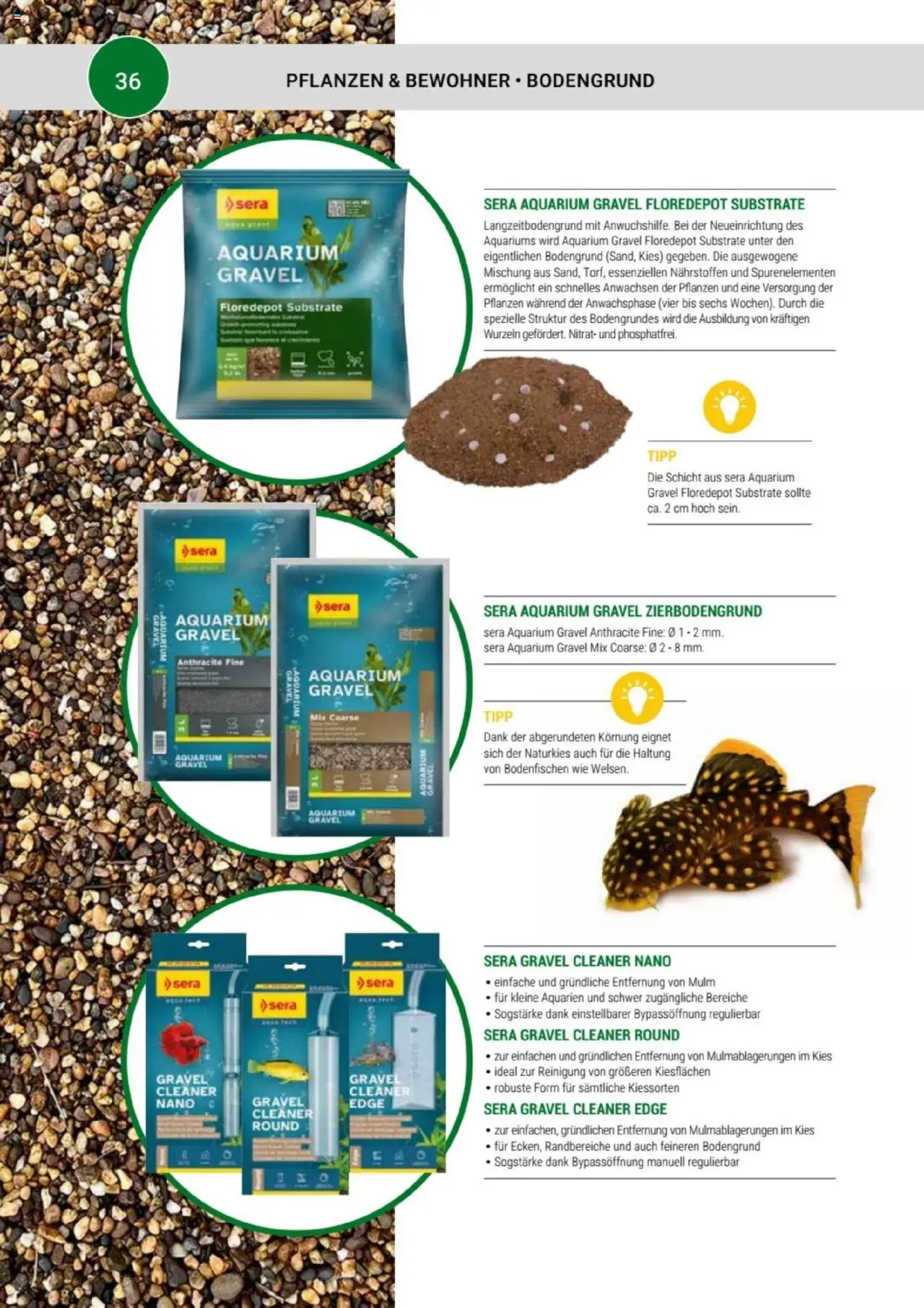 zookauf Themenkatalog Aquaristik - Seite 36 - gültig ab 01.10.2025