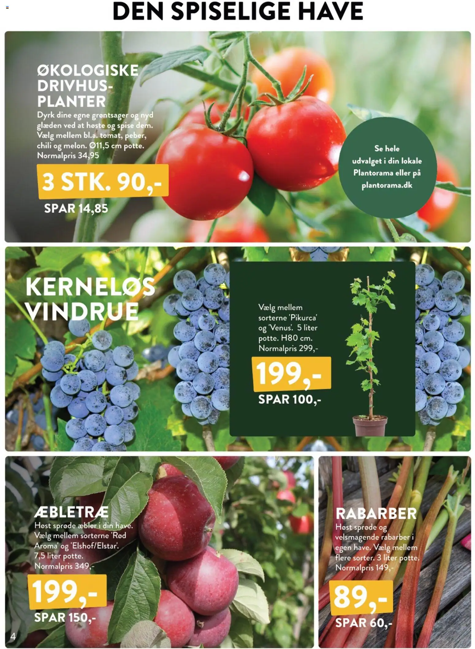 Plantorama - Tilbudsavis - page 4- valid from 27/03/2026