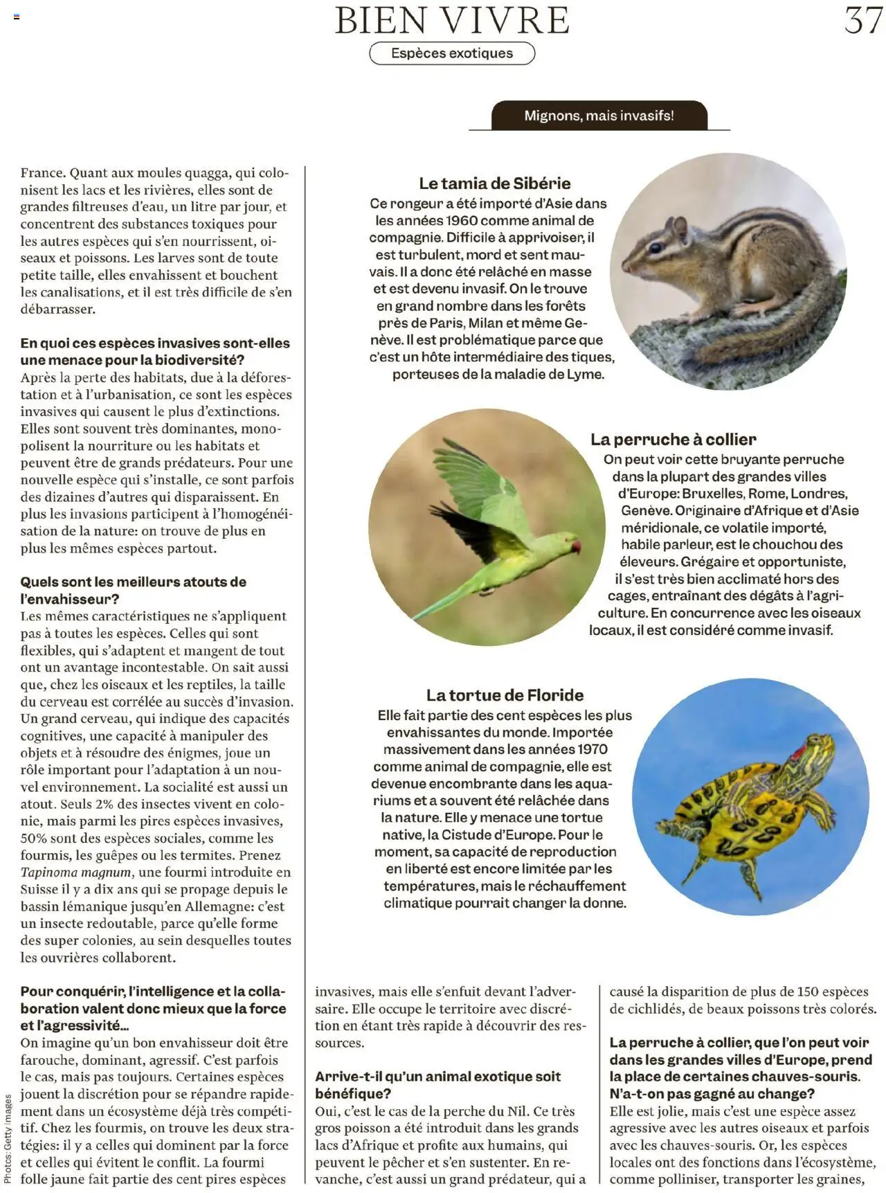 Migros Magazin FR - Seite 37- gültig ab 15.07.2025