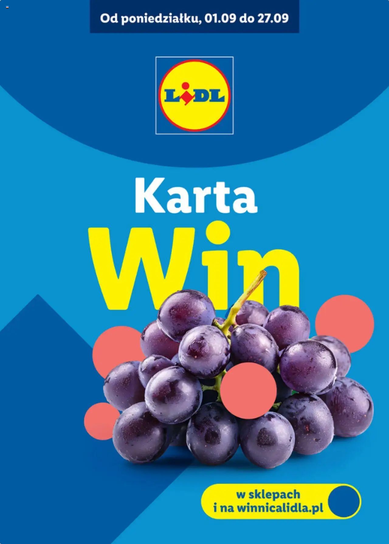 Lidl Katalog karta win - strona 1- ważny od 01.09.2025