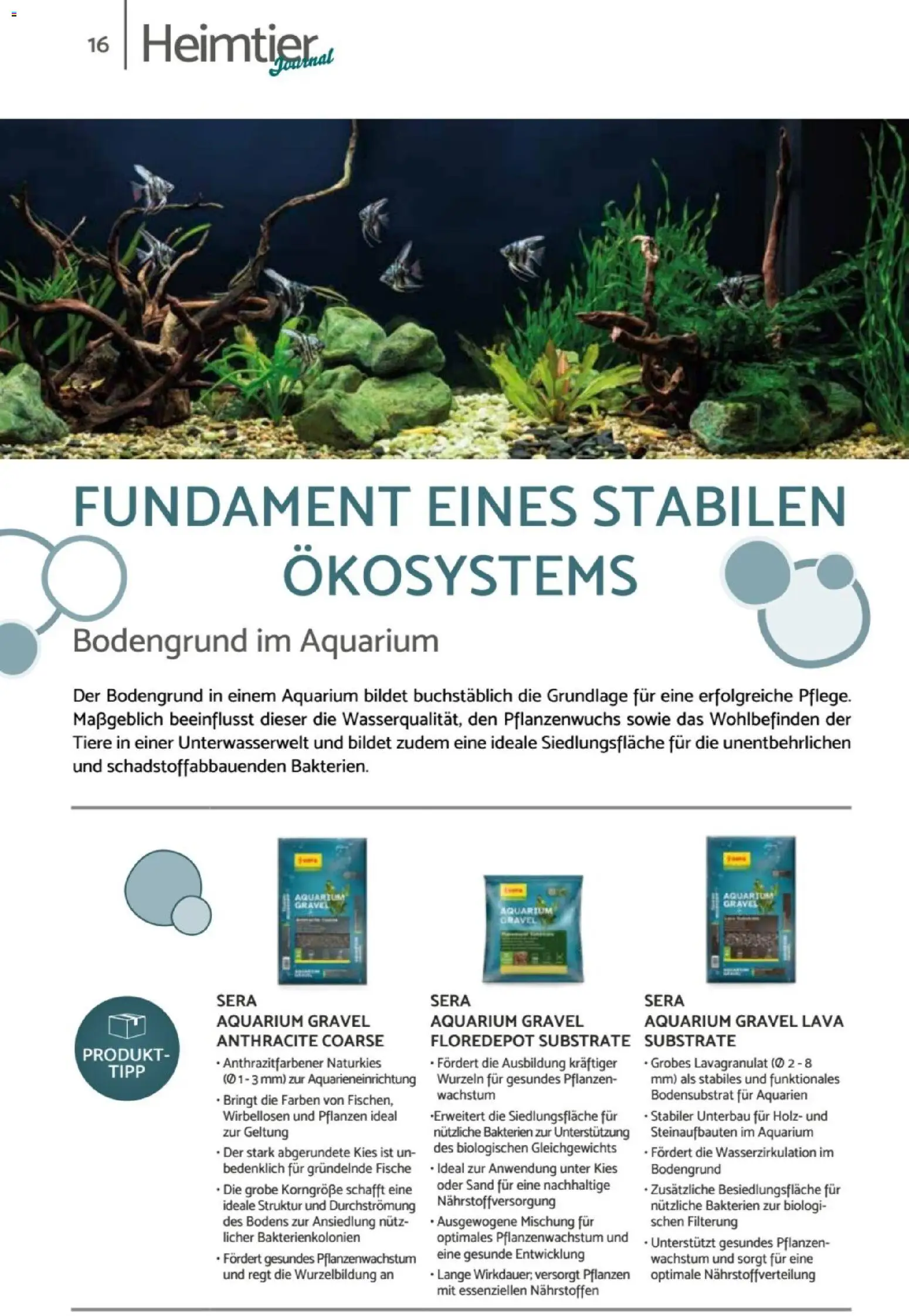 zookauf  Heimtier Journal - Seite 16 - gültig ab 01.02.2026