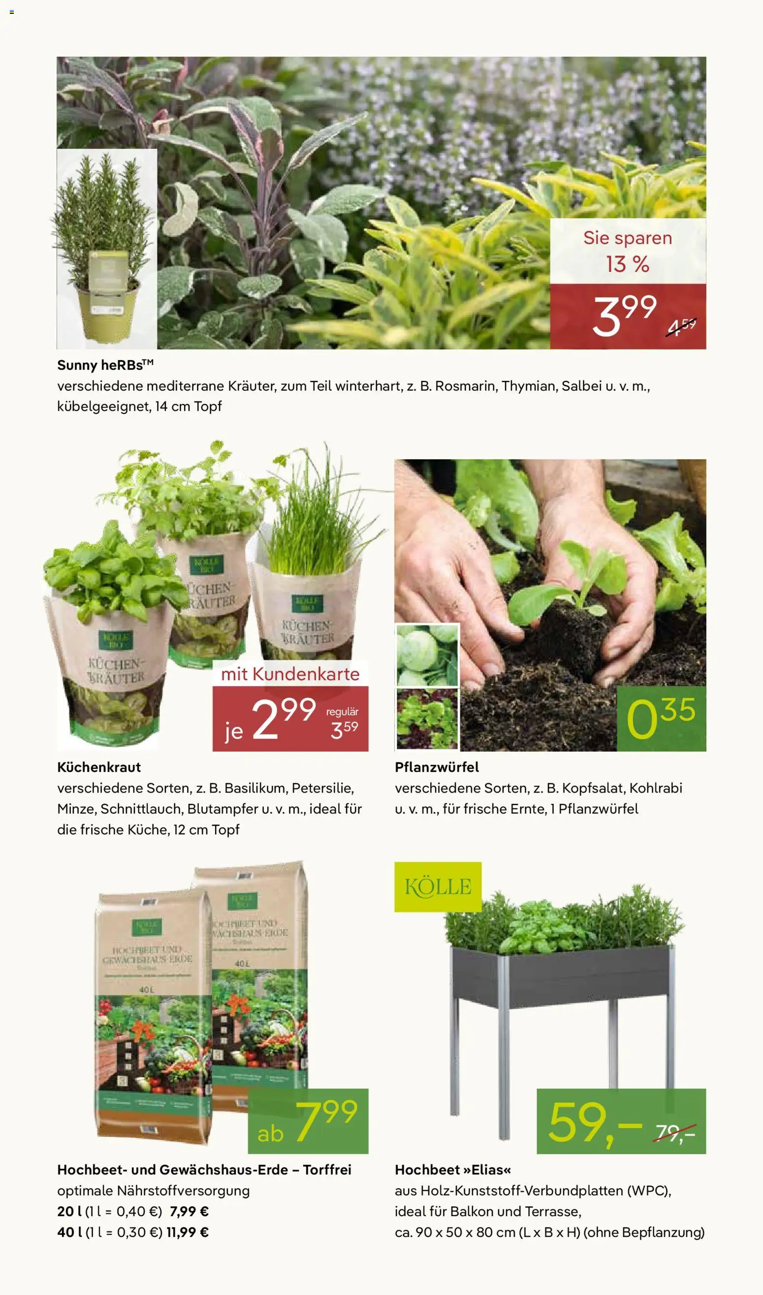 Pflanzen-Kölle Prospekt 	 - Seite 8 - gültig ab 02.03.2026