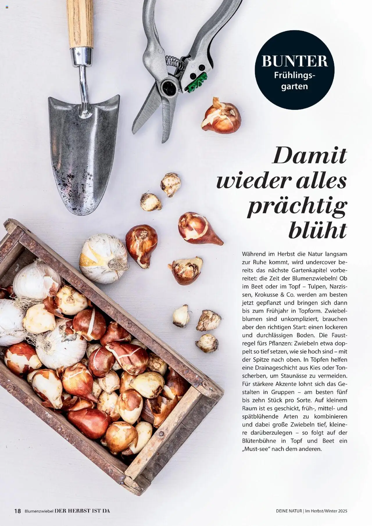 Dehner Prospekt Deine Natur - Seite 18 - gültig ab 09.10.2025