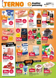 Náhled Terno leták platný od 18.02.2026